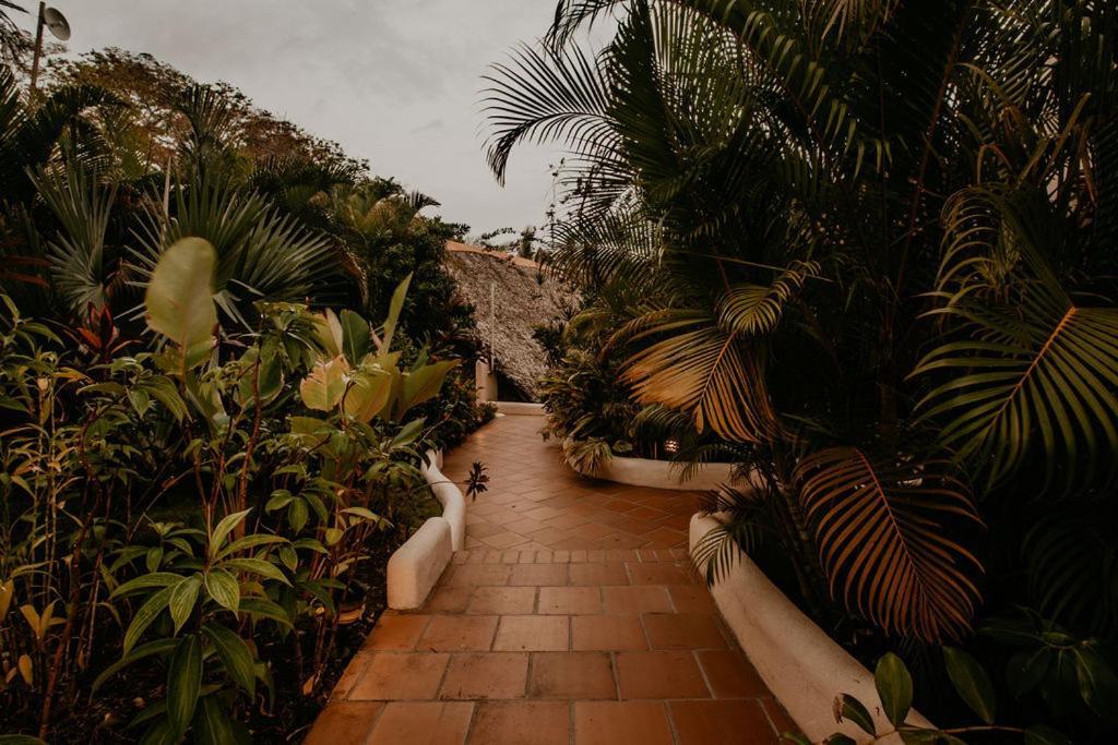 Sansara Surf Yoga & Resort Cambutal Bagian luar foto